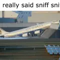 aer dingus