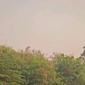 Bobaenaklooh-avatar