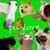 puglove300-avatar