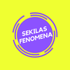 SEKILAS FENOMENA-avatar