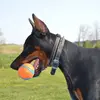 Bucket_Piñata-avatar