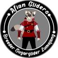 Afian Gliders