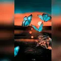  🦋 Kelly 🦋