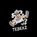 TEBEKZ940