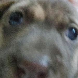 xxtysnz [LDR]