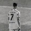 cris77711