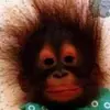 RattyPatty3-avatar
