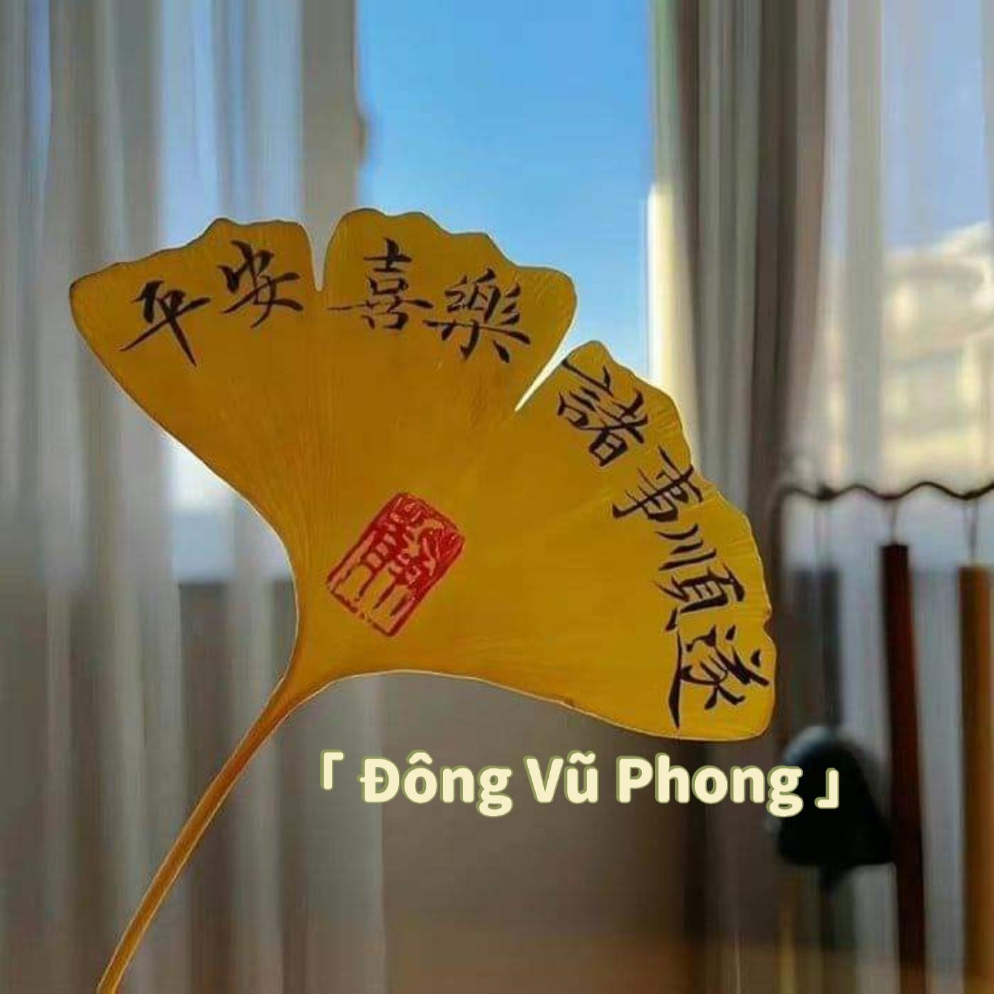 Hình ảnh của Đông Vũ Phong