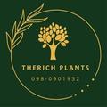 รูปภาพของ TheRich Plants