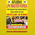 Lpk Master Korea 5