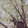 Abc3000-avatar