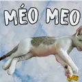 Méo Meo133