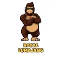 Royal_kingkong_Lumajang