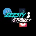 Zeesty Turu