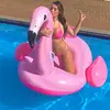 Daphne beck-avatar