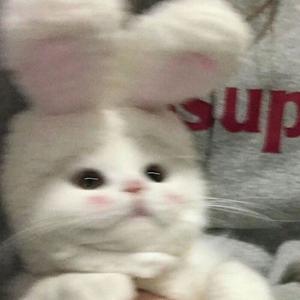 지밍