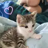 Foxinloveryt-avatar