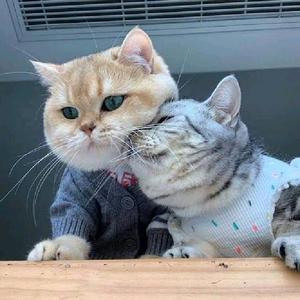 💖-💖