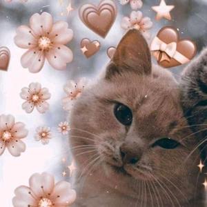 Stephany Charm-avatar