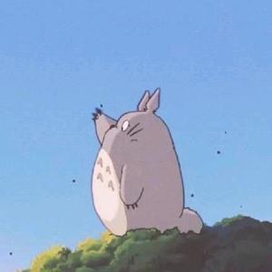TOTORO