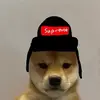Susnot4k-avatar