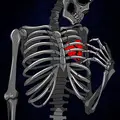 yasir ali481