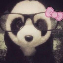 Hình ảnh của pandaa ◡̈