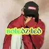 boledzLED