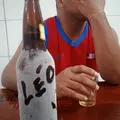 leo Bolgary