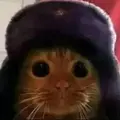 EL GATO SOVIETICO