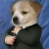 user5055311531299-avatar