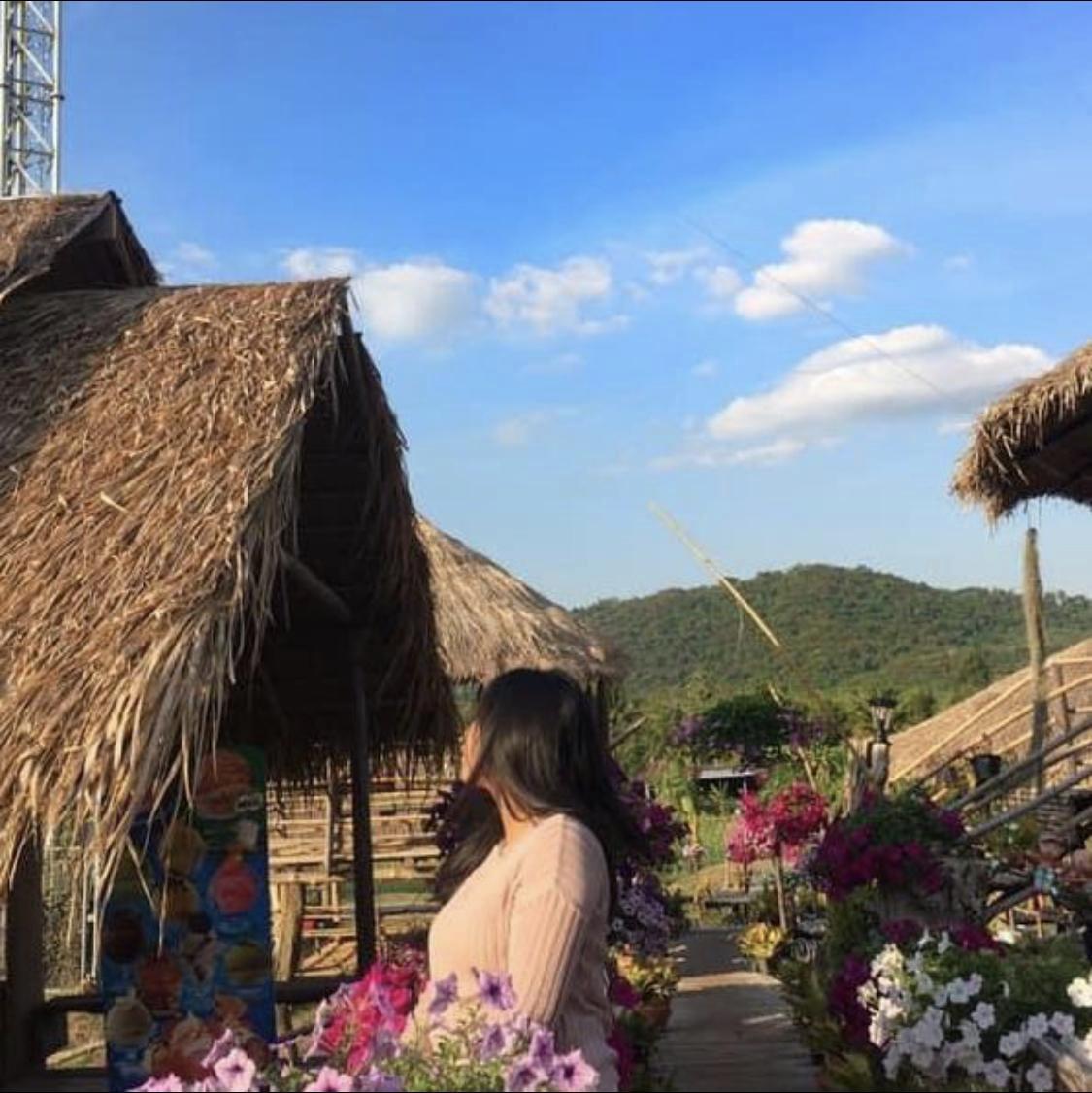 อันดับหนึ่ง 104+ ภาพพื้นหลัง ธรรมชาติยามเช้า ใหม่ที่สุด