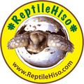 รูปภาพของ ReptileHiso.com