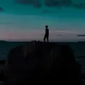 MaduLaici