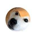 dogw