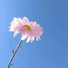 Bunga kasih [RACA]-avatar