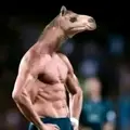 Mr.Camel