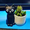 Black Cat PC-avatar