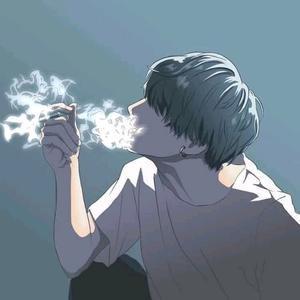 megasarDINEs-avatar