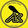 Alk Canary427-avatar