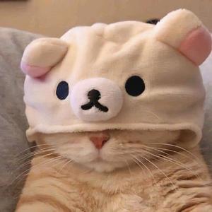 Meow《LK》✪