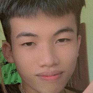 TVT 2k-avatar