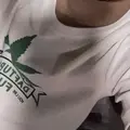 ฮาตาร488
