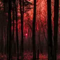 ft_edit