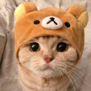 엘리