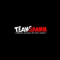 TEAM SPAMM_allvlog