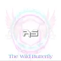 butterfly _17