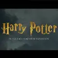 Wizarding Immersion Experience