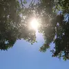 user2671115450707-avatar