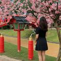 Tya4757